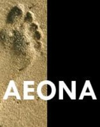 Picture for Executive Coaching Six Month Package package